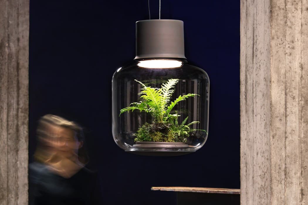 Dual-purpose designed items